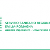 Il modello organizzativo URP presso l’AOU di Parma per rispondere all’emergenza pandemica